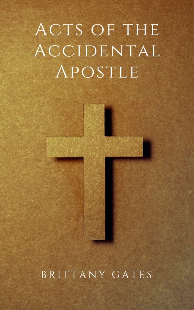 Acts of the Accidental Apostle cover