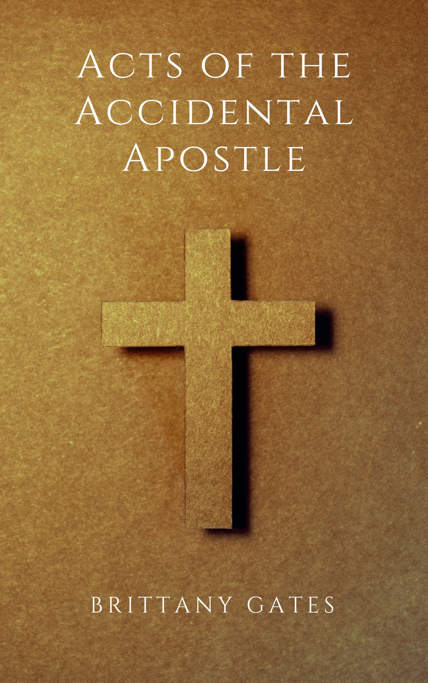 Acts of the Accidental Apostle book cover